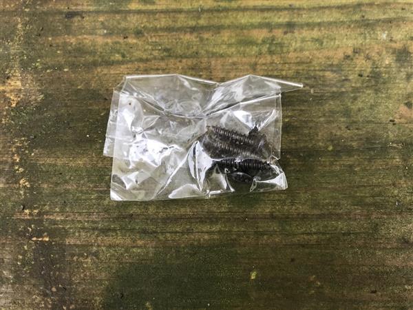 Grote foto grote windhaak gemaakt van smeedijzer mat zwart doe het zelf en verbouw materialen en producten