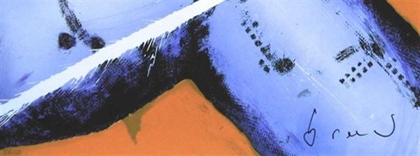 Grote foto herman brood vliegtuig antiek en kunst litho en zeefdrukken