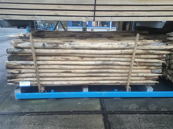 Grote foto kastanje palen kop 8 10 300 cm doe het zelf en verbouw hout en planken