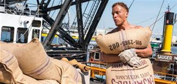 Grote foto ga mee op een traditioneel vrachtzeilschip . vakantie vakantie als vrijwilliger