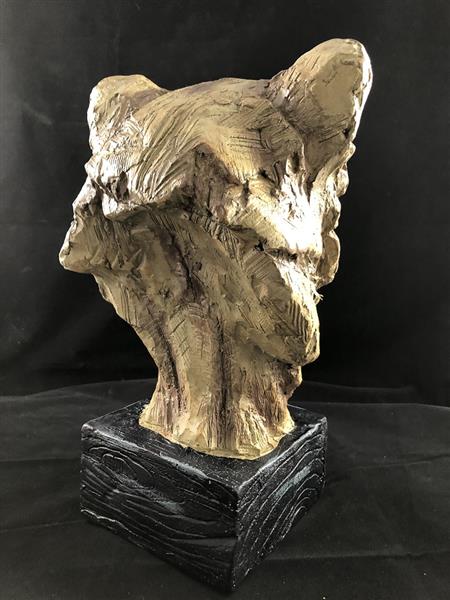 Grote foto een prachtige kop van een leeuw fraai in detail polystone woodlook tuin en terras tuindecoratie