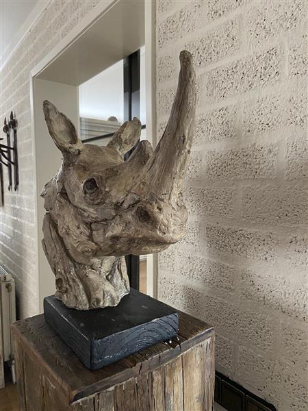 Grote foto een prachtige kop van een neushoorn fraai in detail polystone woodlook tuin en terras tuindecoratie