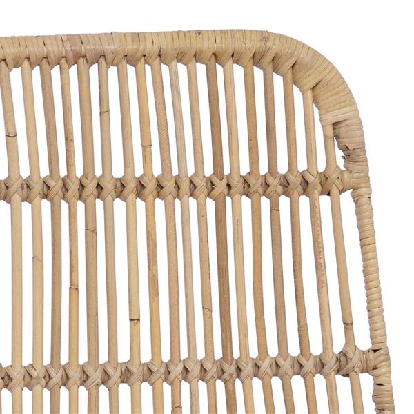 Grote foto vidaxl eetkamerstoel 2 pcs naturel 41 x 55 x 85 cm rattan en staal huis en inrichting stoelen