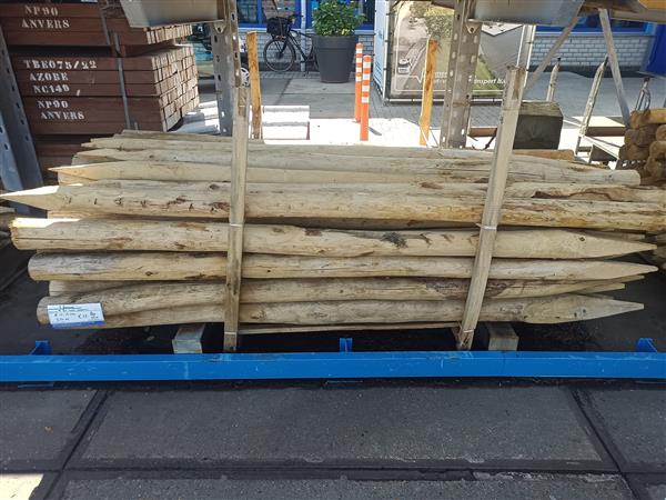 Grote foto kastanje palen kop 10 12 250 cm doe het zelf en verbouw hout en planken