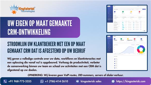 Grote foto ontwikkeling van een op maat gemaakte crm diensten en vakmensen webdesigners en domeinnamen