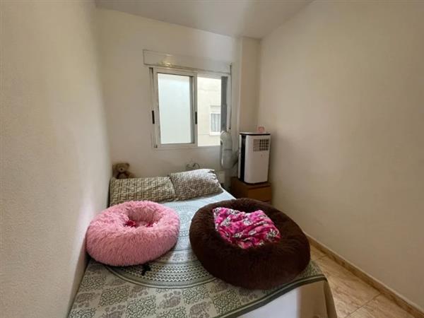 Grote foto uw eigen appartement in torrevieja tussen veel huizen en kamers bestaand europa