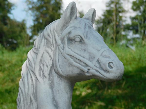 Grote foto beeld paardenhoofd vol steen wit met grijze tinten tuin en terras tuindecoratie