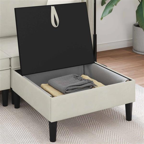 Grote foto vidaxl sofa kruk met opslag cr mekleurig fluweel huis en inrichting bankstellen