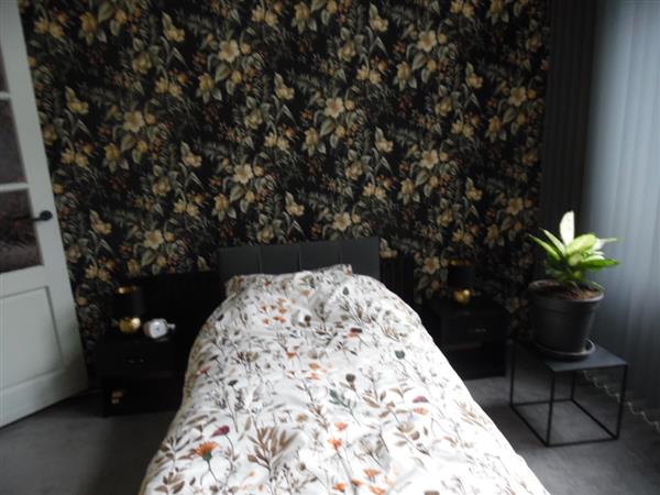 Grote foto te huur. huizen en kamers appartementen en flats