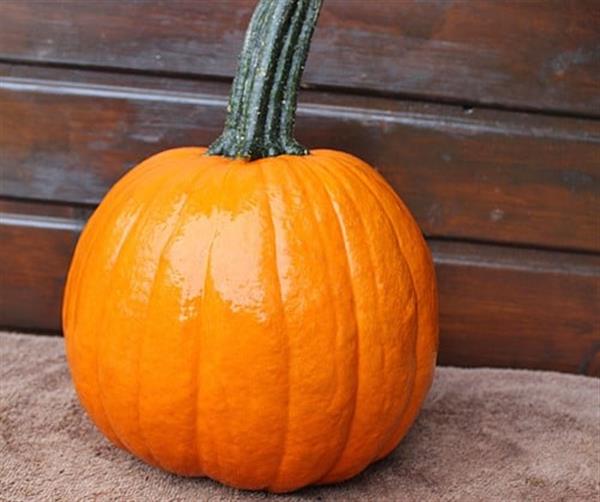 Grote foto hal. gumdrop f1 pmt opvallende halloweenpompoen kleinverpakking verzamelen overige verzamelingen