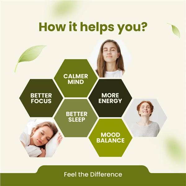 Grote foto ashwagandha kopen for stress relief capsules beauty en gezondheid overige beauty en gezondheid