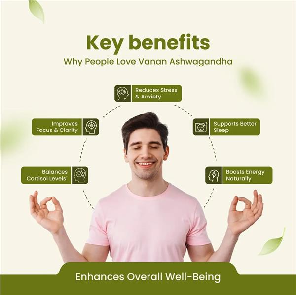 Grote foto ashwagandha kopen for stress relief capsules beauty en gezondheid overige beauty en gezondheid
