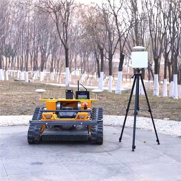 Grote foto rc benzine grasmaaier tuin en terras maairobots