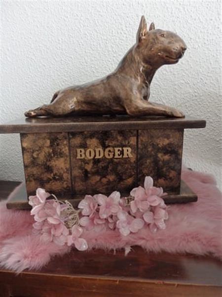 Grote foto bull terri r urn als set of als los beeld dieren en toebehoren toebehoren