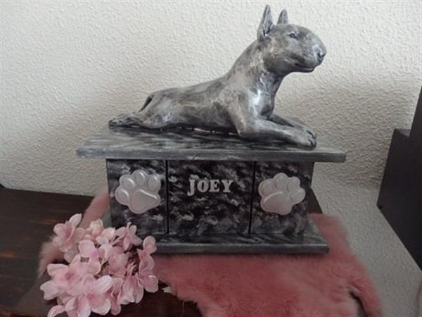 Grote foto bull terri r urn als set of als los beeld dieren en toebehoren toebehoren