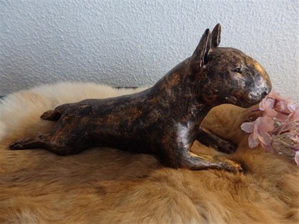 Grote foto bull terri r urn als set of als los beeld dieren en toebehoren toebehoren