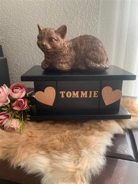 Grote foto poezenbeeld met op urn als set te koop dieren en toebehoren katten accessoires