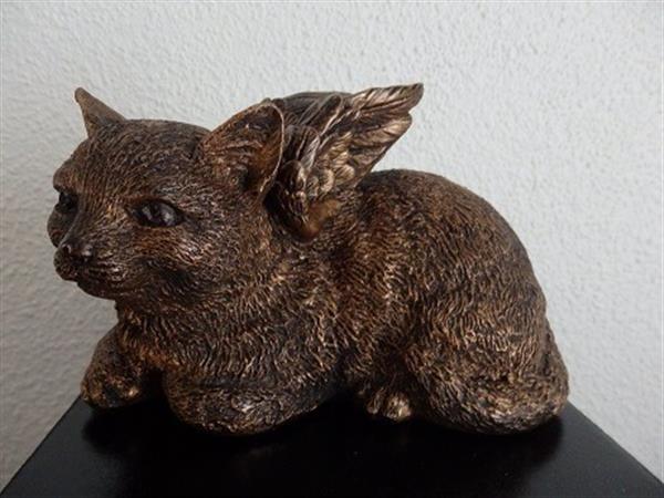 Grote foto poezenbeeld met op urn als set te koop dieren en toebehoren katten accessoires
