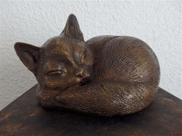 Grote foto poezenbeeld met op urn als set te koop dieren en toebehoren katten accessoires