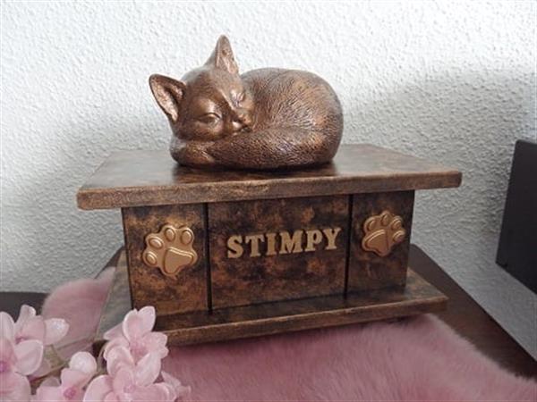 Grote foto poezenbeeld met op urn als set te koop dieren en toebehoren katten accessoires