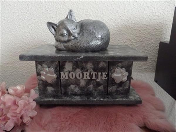 Grote foto poezenbeeld met op urn als set te koop dieren en toebehoren katten accessoires