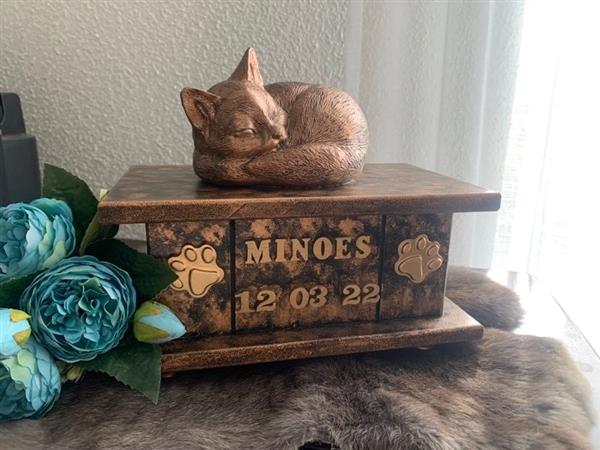 Grote foto poezenbeeld met op urn als set te koop dieren en toebehoren katten accessoires