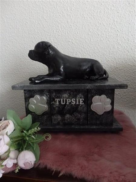 Grote foto amerikaanse bulldog hondenbeeld op urn als set dieren en toebehoren toebehoren