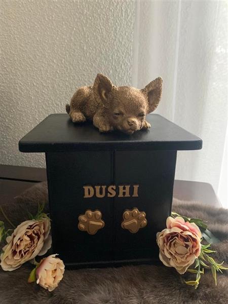 Grote foto chihuahua beeld met of zonder vleugels op urn dieren en toebehoren toebehoren