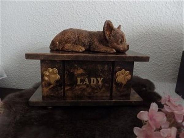 Grote foto chihuahua beeld met of zonder vleugels op urn dieren en toebehoren toebehoren