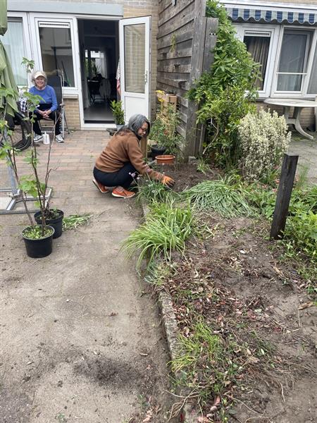Grote foto groenonderhoud in apeldoorn tuin en terras overige tuin en terras
