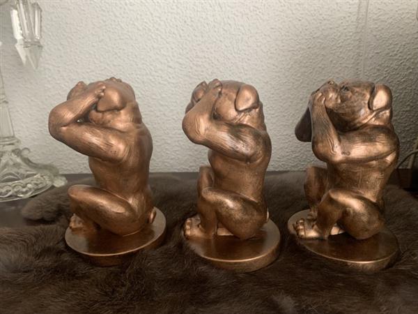Grote foto stafford bully hondenbeeldjes set van 3 aanbieding dieren en toebehoren toebehoren