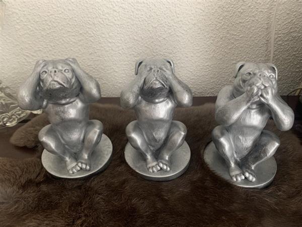 Grote foto stafford bully hondenbeeldjes set van 3 aanbieding dieren en toebehoren toebehoren