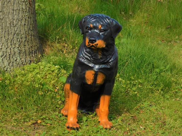 Grote foto prachtig polystonen beeld van een rottweiler. tuin en terras tuindecoratie