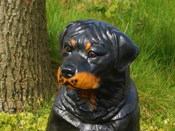 Grote foto prachtig polystonen beeld van een rottweiler. tuin en terras tuindecoratie