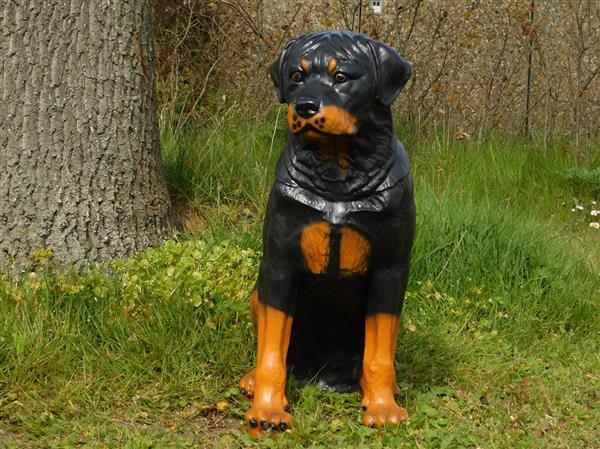 Grote foto prachtig polystonen beeld van een rottweiler. tuin en terras tuindecoratie