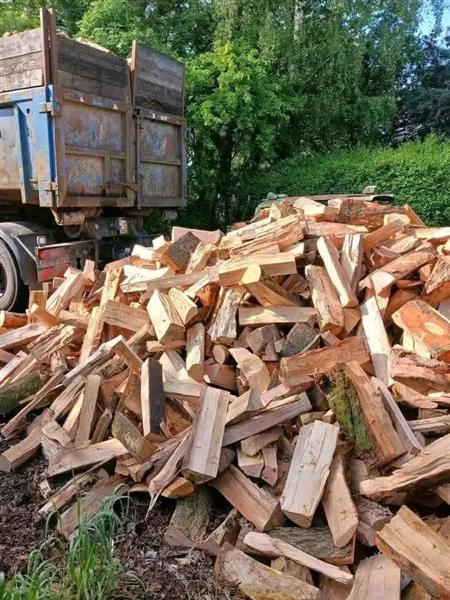 Grote foto bois de chauffage sec et disponible bedrijfspanden beleggingspanden te koop