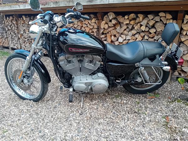 Grote foto originele harley davidson sportster 883 motoren harley davidson