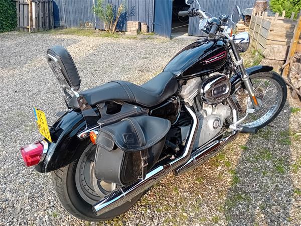 Grote foto originele harley davidson sportster 883 motoren harley davidson