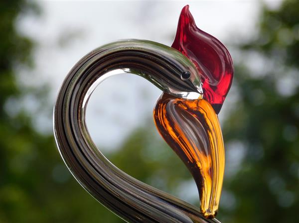 Grote foto glazen beeld zwaan handgemaakt glasgeblazen kunstwerk tuin en terras tuindecoratie