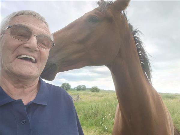Grote foto alleenstaande weduwnaar gaat op zoek. contacten en berichten man zoekt vrouw