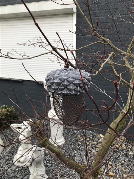 Grote foto vogelvoeder plek voederbak in de vorm van een eikel hele leuke tuin decoratie tuin en terras tuindecoratie