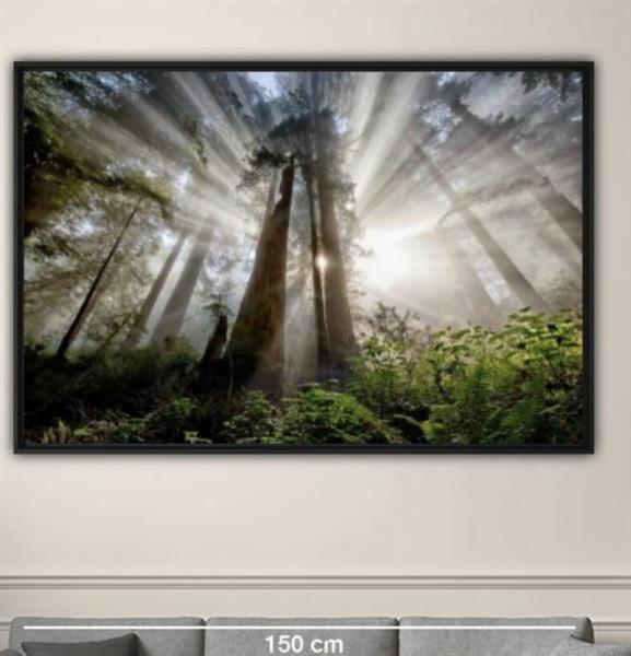 Grote foto hope. foto op aluminium huis en inrichting schilderijen en foto