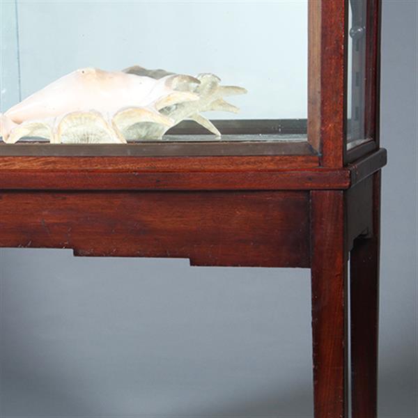 Grote foto art deco vitrinekast in mahonie met contrasterende essenhouten golflijst ca 1915 no.421025 antiek en kunst stoelen en banken