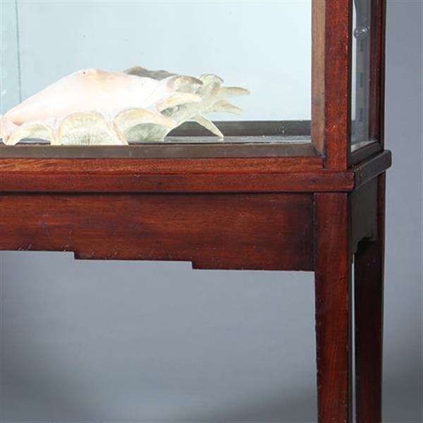 Grote foto art deco vitrinekast in mahonie met contrasterende essenhouten golflijst ca 1915 no.421025 antiek en kunst stoelen en banken