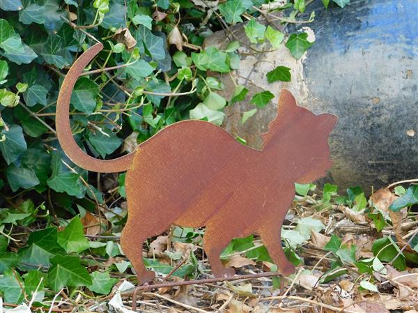 Grote foto tuinsteker in de vorm van een poes kat leuke tuindecoratie tuin en terras tuindecoratie