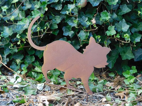 Grote foto tuinsteker in de vorm van een poes kat leuke tuindecoratie tuin en terras tuindecoratie