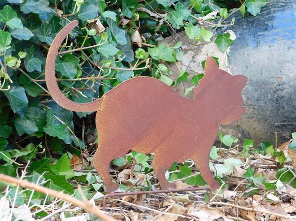 Grote foto tuinsteker in de vorm van een poes kat leuke tuindecoratie tuin en terras tuindecoratie