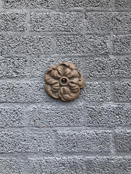 Grote foto gietijzeren muuranker 15 cm bloemmotief tuin en terras tuindecoratie