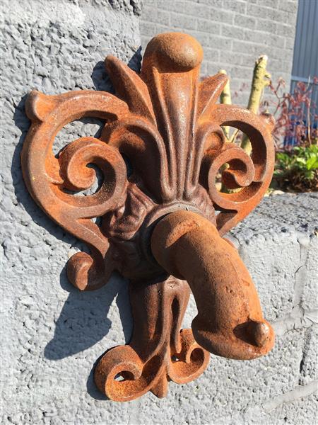 Grote foto waterspuwer voor muur fontein lelie neptunus tuin en terras overige tuin en terras