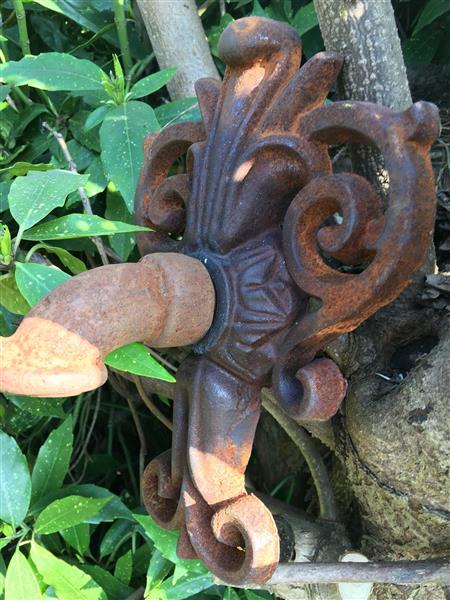 Grote foto waterspuwer voor muur fontein lelie neptunus tuin en terras overige tuin en terras